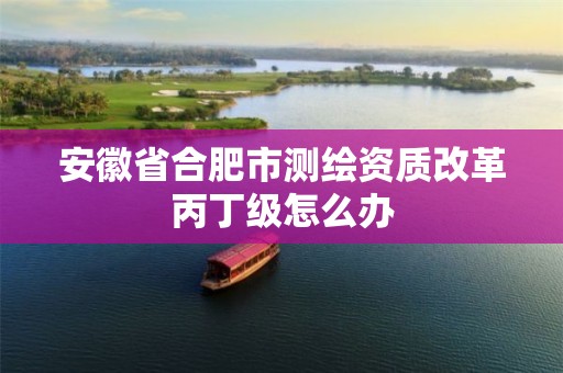 安徽省合肥市测绘资质改革丙丁级怎么办