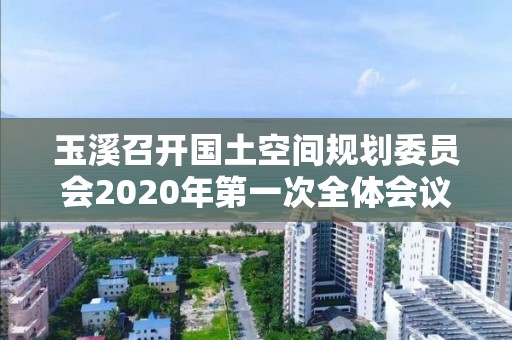 玉溪召开国土空间规划委员会2020年第一次全体会议 审议通过《玉溪市国土空间规划管理办法（试行）》