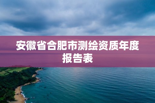 安徽省合肥市测绘资质年度报告表