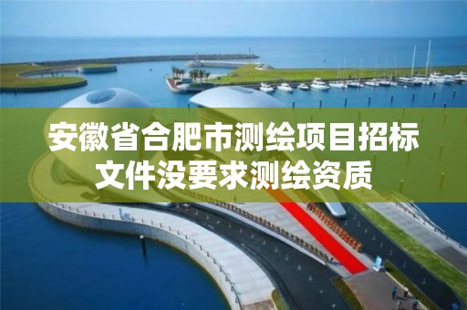 安徽省合肥市测绘项目招标文件没要求测绘资质