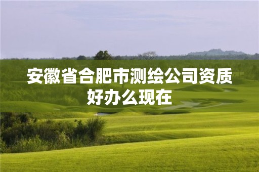 安徽省合肥市测绘公司资质好办么现在