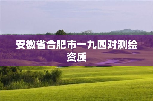 安徽省合肥市一九四对测绘资质