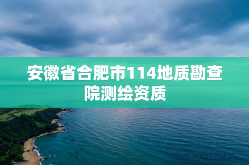 安徽省合肥市114地质勘查院测绘资质