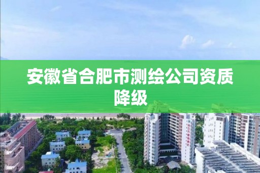 安徽省合肥市测绘公司资质降级