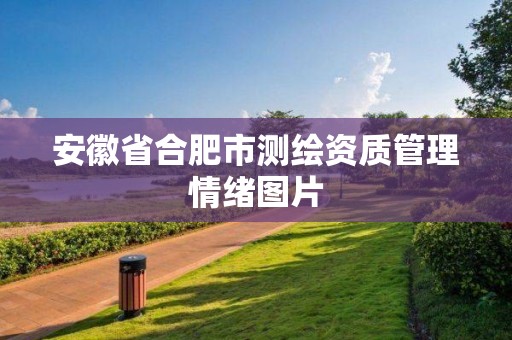 安徽省合肥市测绘资质管理情绪图片