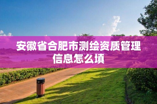 安徽省合肥市测绘资质管理信息怎么填