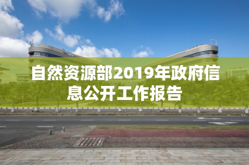 自然资源部2019年政府信息公开工作报告