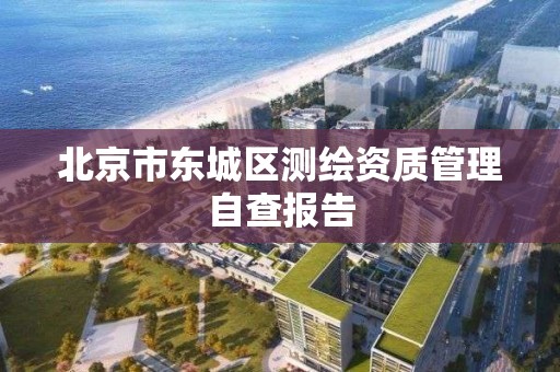 北京市东城区测绘资质管理自查报告