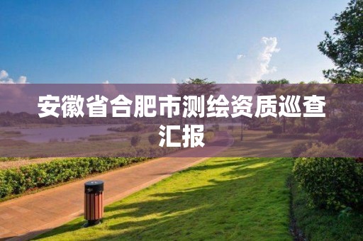 安徽省合肥市测绘资质巡查汇报