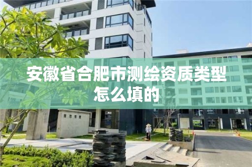 安徽省合肥市测绘资质类型怎么填的