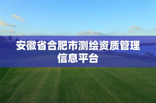 安徽省合肥市测绘资质管理信息平台