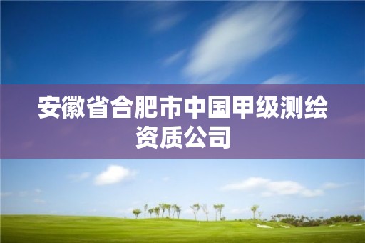 安徽省合肥市中国甲级测绘资质公司