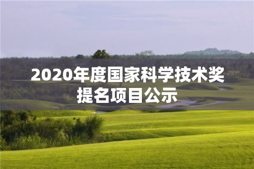 2020年度国家科学技术奖提名项目公示