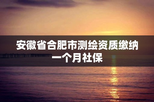 安徽省合肥市测绘资质缴纳一个月社保