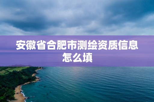 安徽省合肥市测绘资质信息怎么填