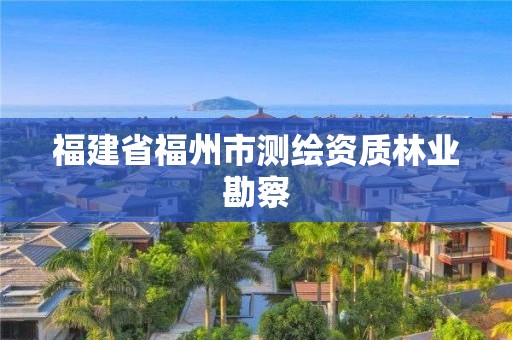 福建省福州市测绘资质林业勘察