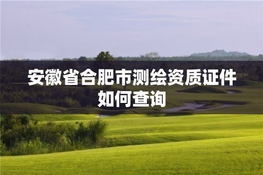 安徽省合肥市测绘资质证件如何查询