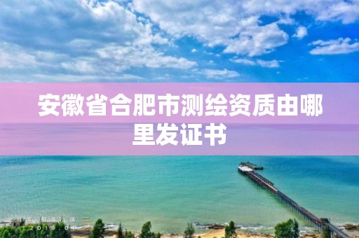 安徽省合肥市测绘资质由哪里发证书