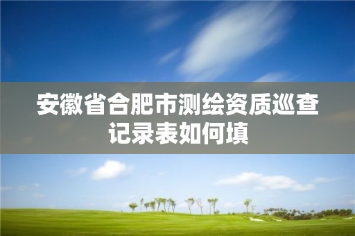 安徽省合肥市测绘资质巡查记录表如何填