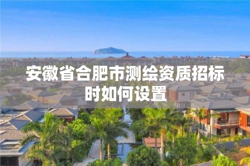 安徽省合肥市测绘资质招标时如何设置