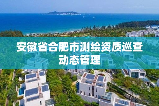 安徽省合肥市测绘资质巡查动态管理