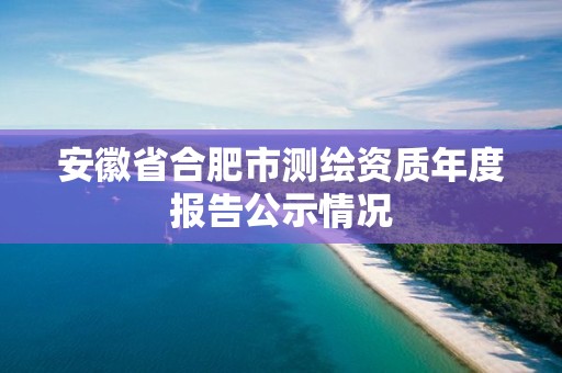 安徽省合肥市测绘资质年度报告公示情况