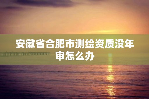 安徽省合肥市测绘资质没年审怎么办