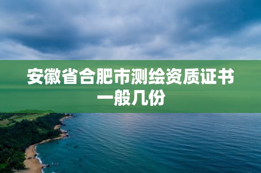 安徽省合肥市测绘资质证书一般几份