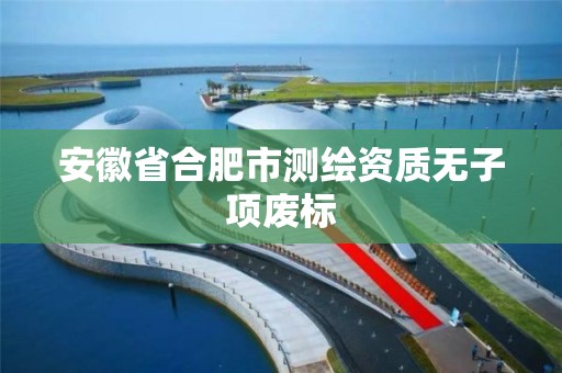 安徽省合肥市测绘资质无子项废标