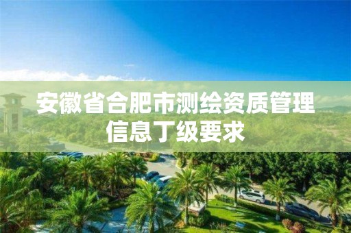 安徽省合肥市测绘资质管理信息丁级要求