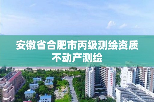 安徽省合肥市丙级测绘资质不动产测绘