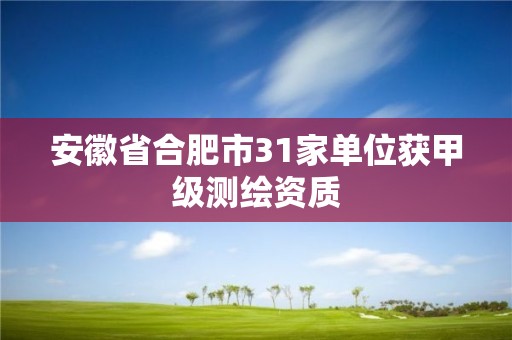 安徽省合肥市31家单位获甲级测绘资质