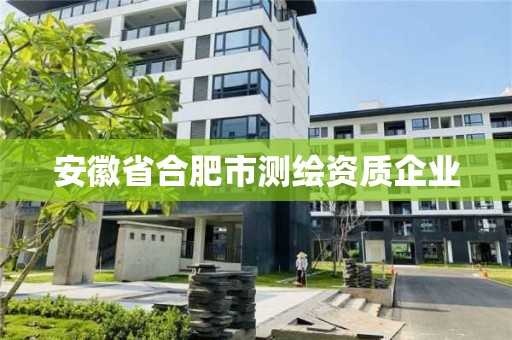 安徽省合肥市测绘资质企业