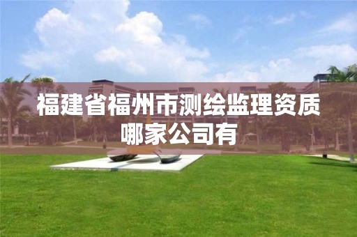 福建省福州市测绘监理资质哪家公司有