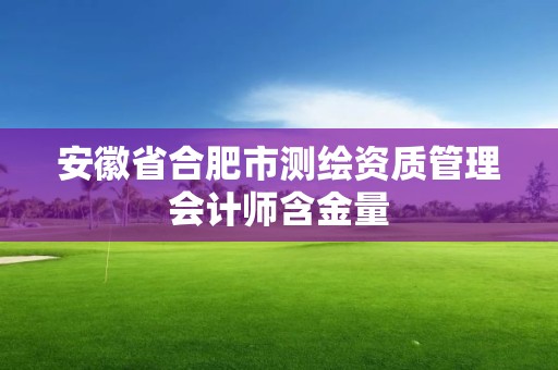 安徽省合肥市测绘资质管理会计师含金量