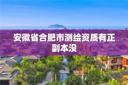 安徽省合肥市测绘资质有正副本没