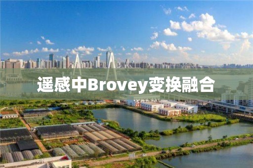 遥感中Brovey变换融合