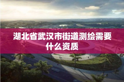 湖北省武汉市街道测绘需要什么资质