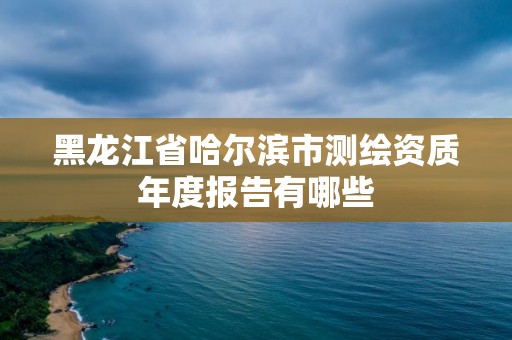 黑龙江省哈尔滨市测绘资质年度报告有哪些