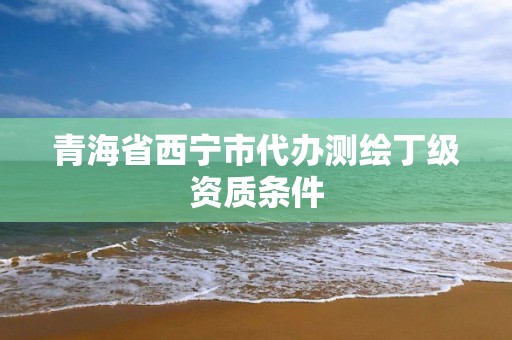 青海省西宁市代办测绘丁级资质条件