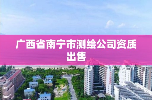 广西省南宁市测绘公司资质出售