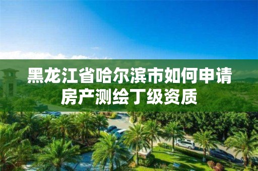 黑龙江省哈尔滨市如何申请房产测绘丁级资质