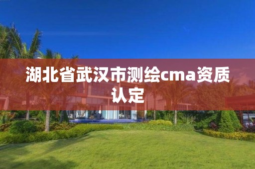 湖北省武汉市测绘cma资质认定