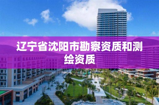 辽宁省沈阳市勘察资质和测绘资质