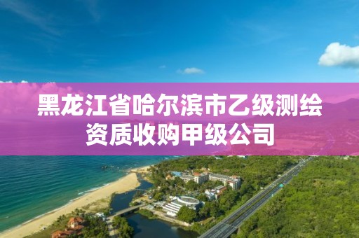 黑龙江省哈尔滨市乙级测绘资质收购甲级公司