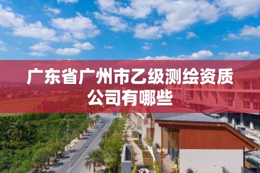 广东省广州市乙级测绘资质公司有哪些