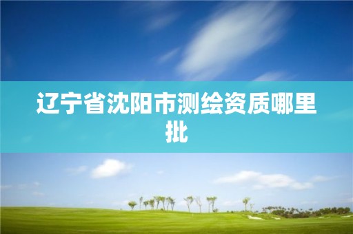 辽宁省沈阳市测绘资质哪里批