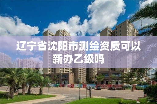 辽宁省沈阳市测绘资质可以新办乙级吗