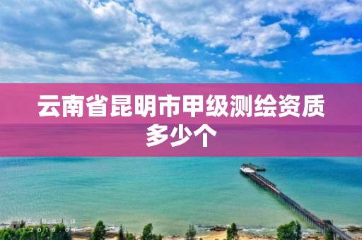 云南省昆明市甲级测绘资质多少个