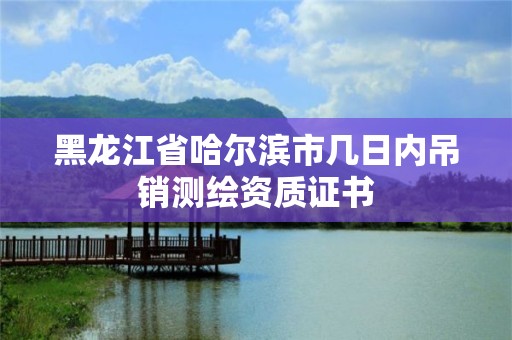 黑龙江省哈尔滨市几日内吊销测绘资质证书